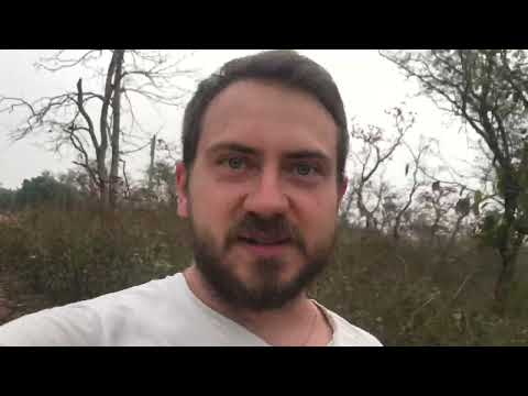 Видео: Индия, Ананда Нагар, Дада Садананда, Тантра Питхи...