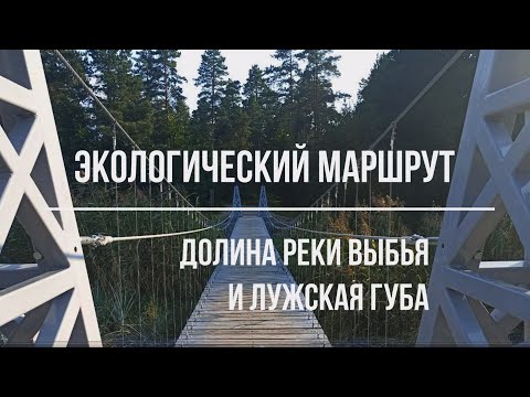 Видео: Экологический маршрут Долина реки Выбья и Лужская губа