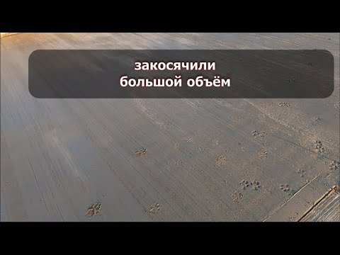Видео: БАЛЬШАЯ парковка из ФАКТУРНОГО бетона //все пошло НЕ по плану