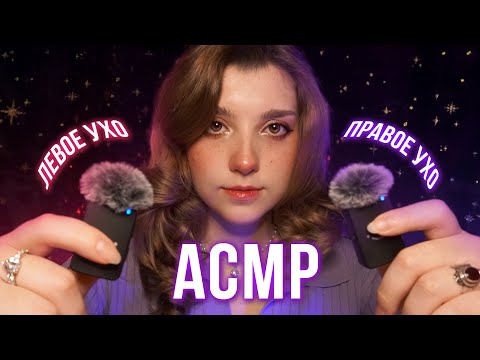 Видео: АСМР ✨ тест триггеров на петлички Fifine M9 // ASMR test triggers 🐗 beatrisius asmr