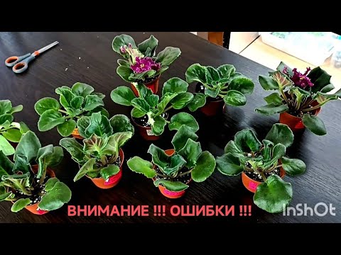 Видео: ОШИБКИ НОВИЧКА ! РАЗБИРАЕМ ПРИЧИНЫ !