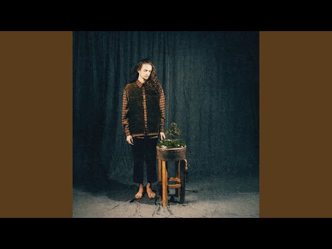 Видео: то ли