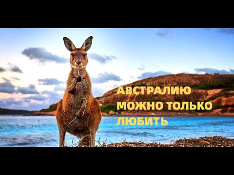 Видео: НОВАЯ ЗЕЛАНДИЯ НЕ ПУП ЗЕМЛИ.... МОИ МЫСЛИ.