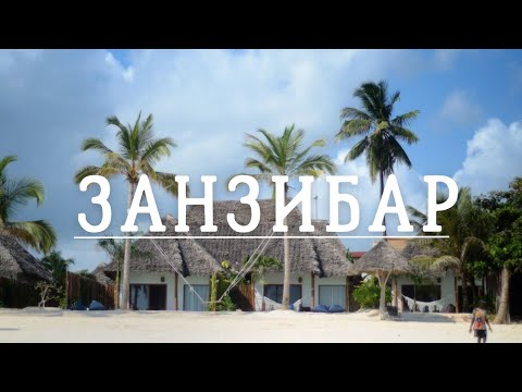 Видео: ЗАНЗИБАР. Наше удивительное путешествие по Африке | Танзания | Cафари