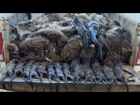 Видео: Отличный день! Первая проверка в этом году!