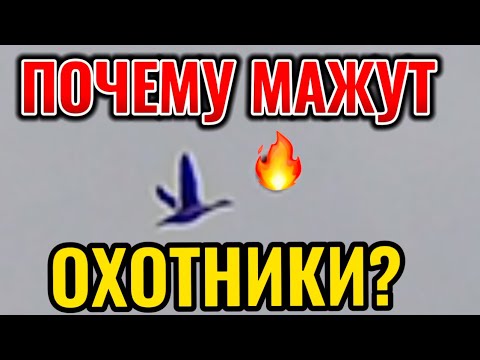 Видео: Почему Охотники мажут?