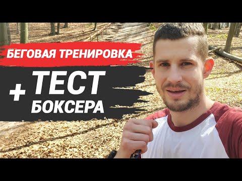 Видео: Тренировка боксера в лесу - скоростная выносливость и тест для проверки себя