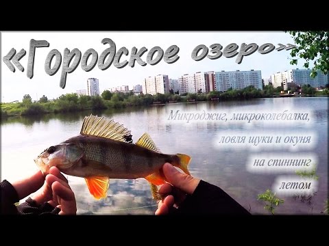 Видео: С ультралайтом в черте города, ловля окуня и щуки - "Городское озеро"