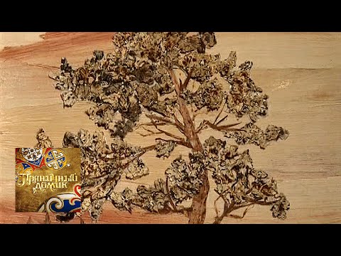 Видео: Пряничный домик. В соавторстве с природой / Телеканал Культура