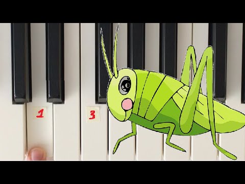 Видео: Как играть КУЗНЕЧКА🦗 на пианино 🎹(в траве сидел кузнечик)