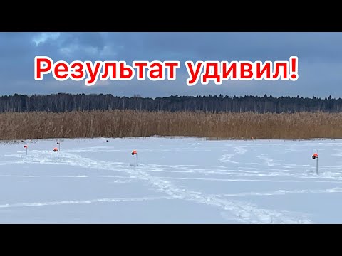 Видео: Оставили жерлицы без присмотра. Рыбалка в Жостово.