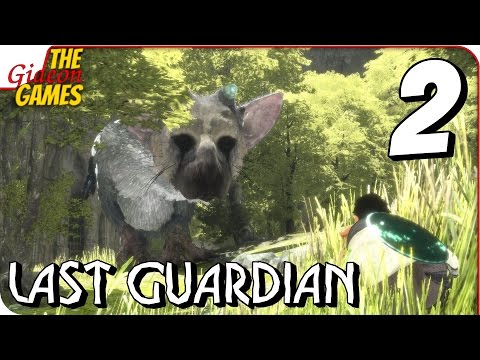 Видео: LAST GUARDIAN ➤ Прохождение #2 ➤ КОТОПТИЦ И ВАЛЕРЬЯНКА