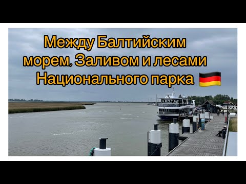 Видео: Цингст - Курортное место на Балтийском море 🌊 🇩🇪.