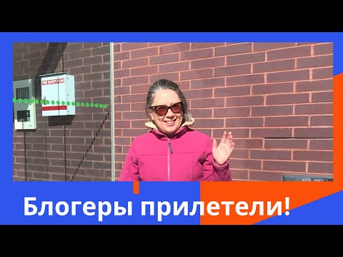 Видео: Что общего у блогера-любителя и кролика, или Блогерство как встреча с тенью.