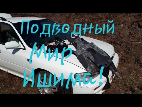 Видео: Подводный Мир реки Ишим! Подводная охота!