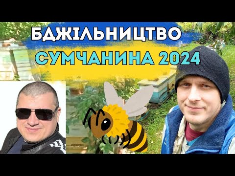 Видео: Бджільництво Андрія Сумчанина 2024 🐝 08.12.2024✅