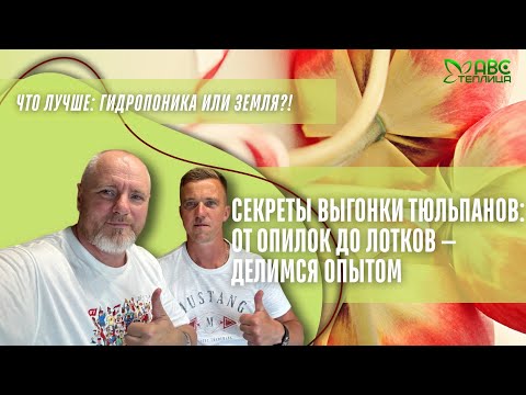 Видео: Что выбрать : опилки, грунт или лотки? Что реально работает при выгонке тюльпанов.