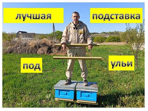 Видео: Лучшая подставка под ульи