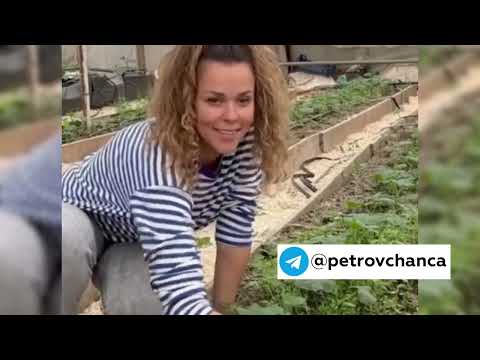 Видео: Влог с Кубани новый урожай вина огурчики в ноябре 2024 #garden #жизньзагородом #огород #shorts