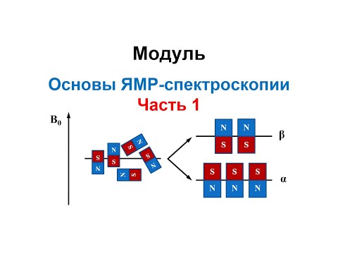 Видео: Основы ЯМР-спектроскопии. Основы метода и аппаратное оформление. Часть 1