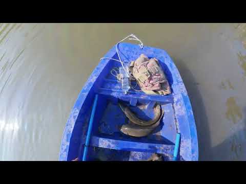 Видео: Осенний трофей (закрытие сезона?) )))