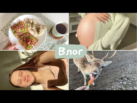Видео: Влог беременяшки 🤰🏽 Наступил 9 месяц беременности | Сумка в роддом