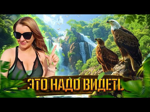 Видео: Куда сходить в Сочи? - Орлиные скалы и Агурские водопады #сочи #всеосочи