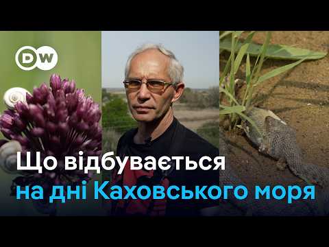 Видео: Каховське водосховище: як виглядає нині Великий Луг і що з відбудовою ГЕС?