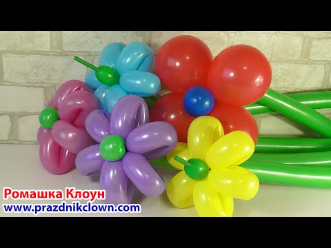 Видео: ЦВЕТЫ ИЗ ШАРОВ ромашки КАК СДЕЛАТЬ Balloon Flower DIY TUTORIAL Floers con Globos