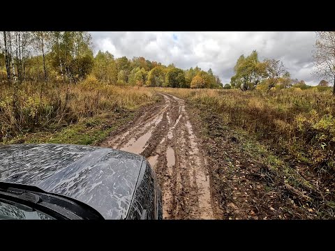 Видео: Покатушки по осеннему лесу. Niva Travel