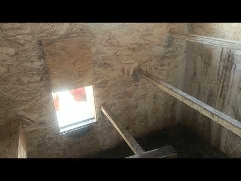Видео: Урожай в новых гнездах сегодня и доработка гнезда. 