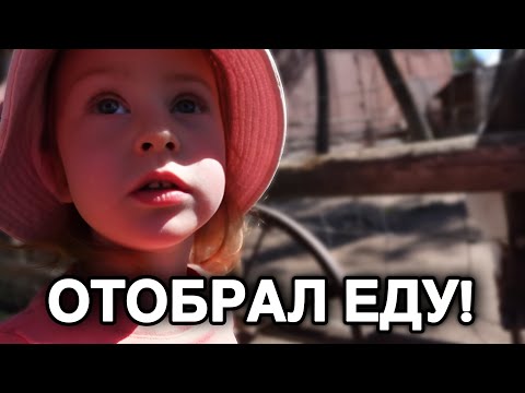 Видео: Все видели что ПРОИСХОДИТ!