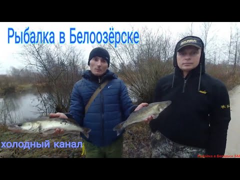 Видео: Рыбалка в Белоозерске, на любой вкус. ТЫСЯЧИ рыбаков собрались в одном месте.