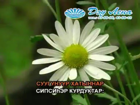 Видео: Сахалыы караоке 5 04