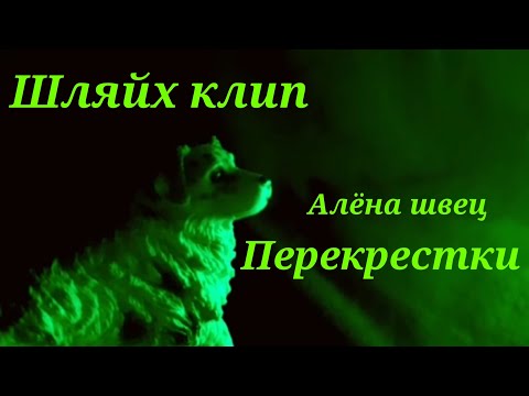 Видео: шляйх клип //перекрёстки // Алёна швец