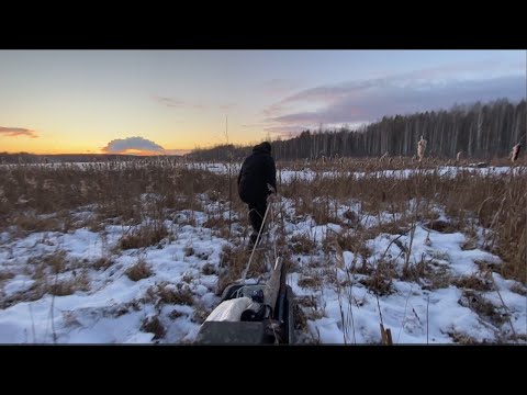 Видео: Зимняя рыбалка на Малом Рефту. Открытие сезона 2024.