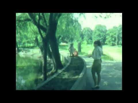 Видео: "Оцифрований Франківськ" - Види міста (1972-73 р)