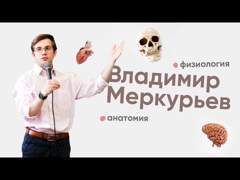 Видео: Интервью с Владимиром Меркурьевым