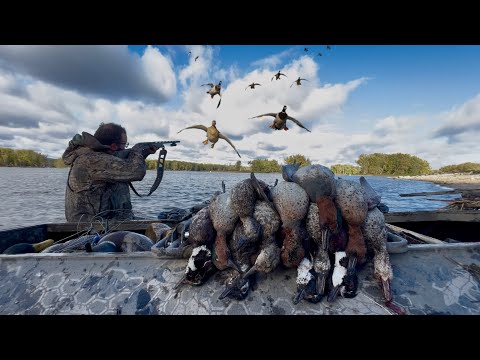 Видео: Сюрприз: зелёные крыла и лесные утки | Потрясающие селезни и стремительная игра