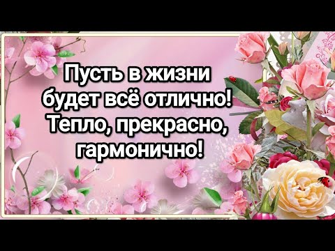 Видео: От меня с добрыми пожеланиями!💞Пусть в жизни будет всё отлично! Тепло, прекрасно, гармонично!💓👍