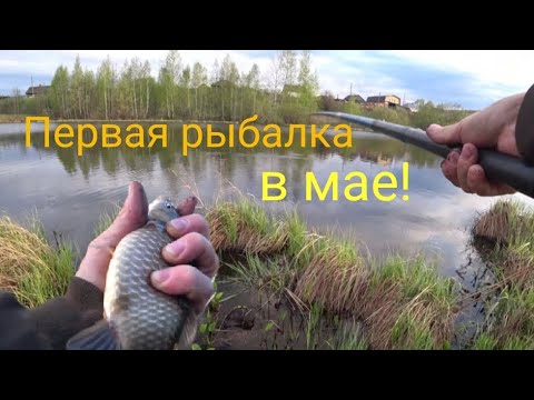 Видео: Как всегда открыл сезон Карасями! Рыбалка у дома!