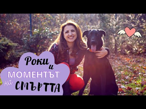 Видео: Моето куче Роки 🐶 | МОМЕНТЪТ НА СМЪРТТА