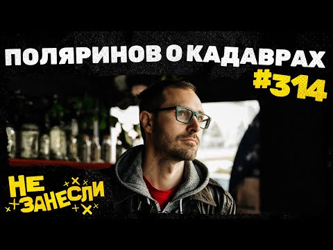 Видео: Алексей Поляринов | «Кадавры» | Работа с цензорами | Отсылки | Ответы на дурацкие вопросы | НЗ 314