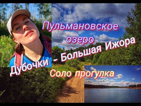 Видео: Соло прогулка от ст. Дубочки до ст. Большая Ижора. Пульмановское озеро.