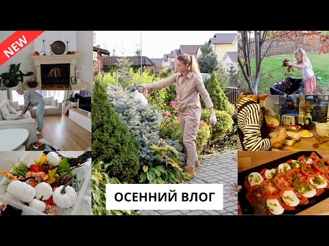 Видео: 🍂 ОСЕННИЙ ДЕКОР В ДОМЕ| работы в саду, итальянский ужин, идеальное пальто на осень