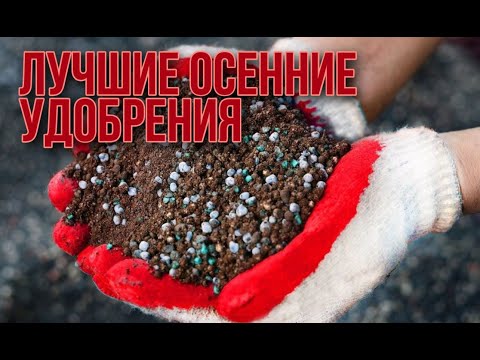 Видео: Лучшие осенние удобрения, которые вы обязаны внести в почву!