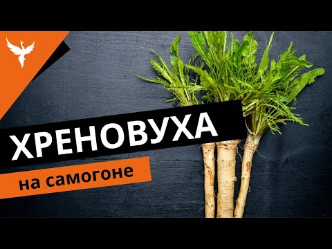 Видео: рДЖ 38: Все о хреновухе на самогоне. Полный разбор рецепта. 9 рекомендаций по приготовлению настойки