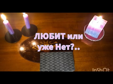 Видео: ЛЮБИТ или уже Нет?💯😍