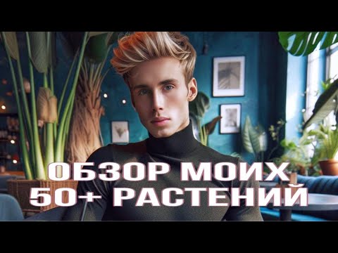 Видео: ОБЗОР 50+ ТРОПИЧЕСКИХ РАСТЕНИЙ в однушке у парня!🌿