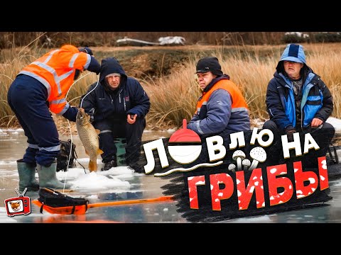 Видео: Ловил НА ГРИБЫ и донку! Притворился НОВИЧКОМ на рыбалке! Рыбаки говорили "не поймаю"! Ну это зря!!!